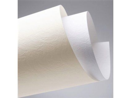 Galeria Papieru dekorační karton A4 230 g/m2 s texturou kůže, bílá barva