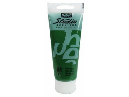 11864 akrylova barva pebeo studio acrylic 100 ml 061 zem zelena
