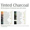 6275 6 tonovane uhly derwent tinted charcoal sada 24 barev