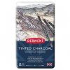 Tónované uhly Derwent Tinted Charcoal, sada 12 barev s barevným nádechem