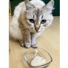 Cléopatre PVA vinylové lepidlo 1 kg pro decoupage, papírmache a kreativní tvoření