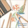 Suché pastely v tužce Faber-Castell Pitt Pastel, vhodné pro detailní kresbu a jemné přechody