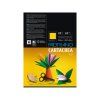 Fabriano Carta Crea černý karton 220 g A4, čistá celulóza, vhodný pro grafiky a designéry
