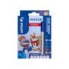 Sada 6 akrylových fixů Pilot Pintor F 1 mm v odstínech Classic, pigmentový inkoust